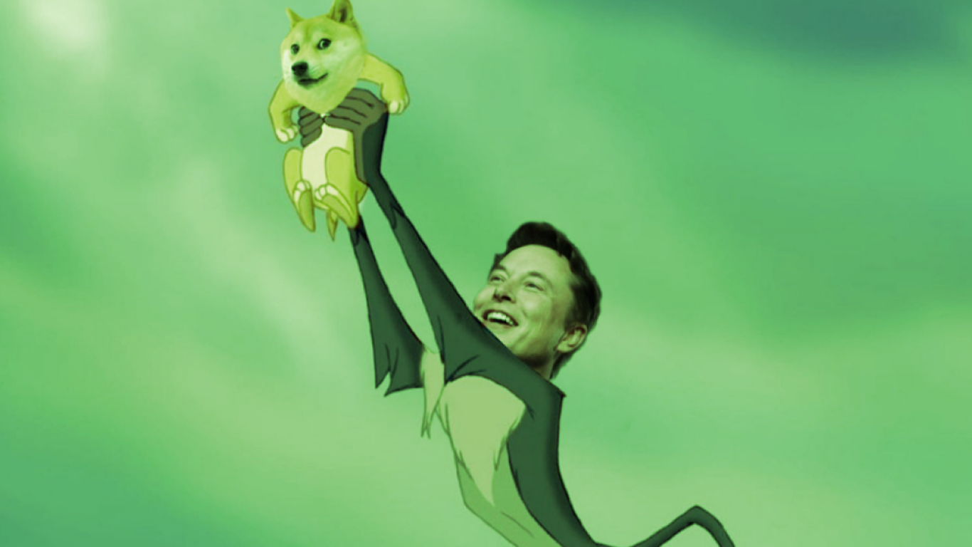 Elon holding doge